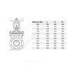 Задвижка клиновая сталь 30лс41нжХЛ Ду 50 Ру16 фл МЗТА, миниатюра — 3
