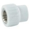 Муфта PP-R комбинированная белая Дн 25х1/2" ВР VALFEX 10129125 — 1